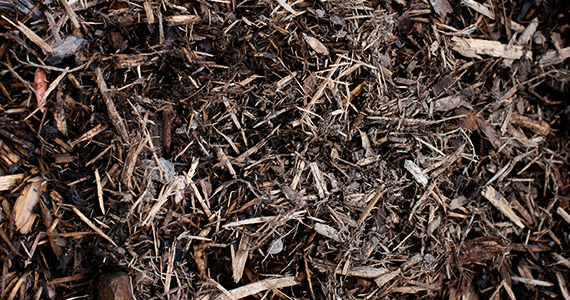 Classic Cedar Mulch